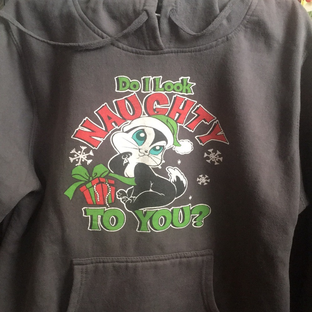 Holiday Sweatshirt from WB cartoons!